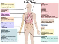 Symptom Chart